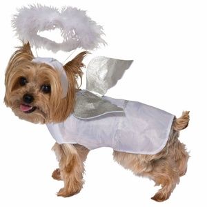 NEW - ANGEL Dog Costume